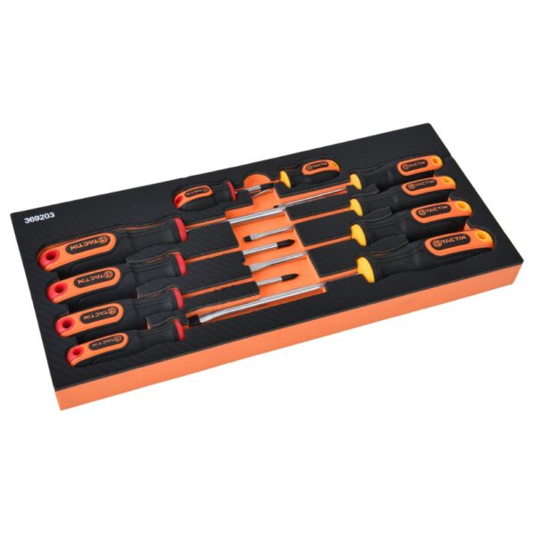 10Pc Screwdriver Set In EVA Tool Tray